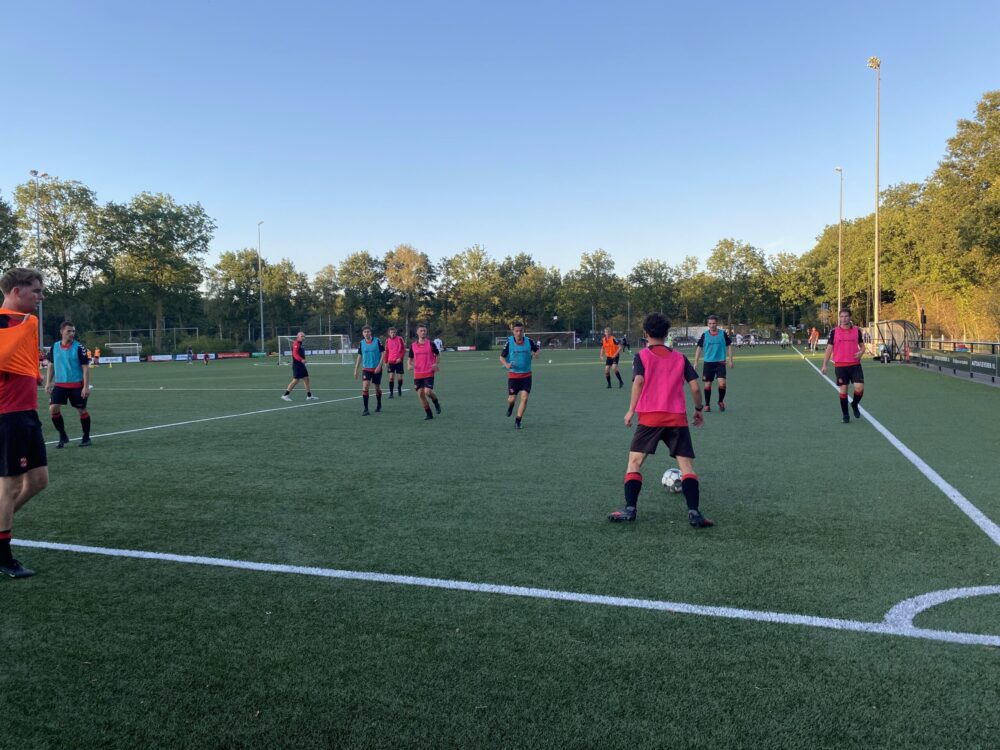 kunstgrasveld